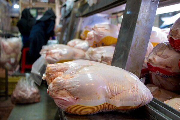خریداری مرغ مازاد کمتر از قیمت مصوب توسط دولت