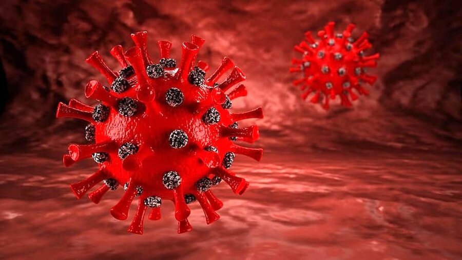 کشف نوع جدید ویروس کرونا