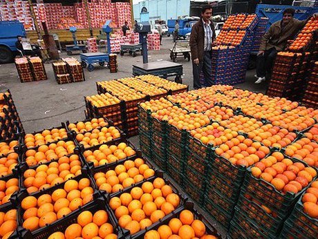 صادرات سیب و پرتقال 