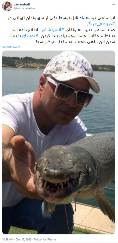 تمساح دریاچه چیتگر پیدا شد! + عکس