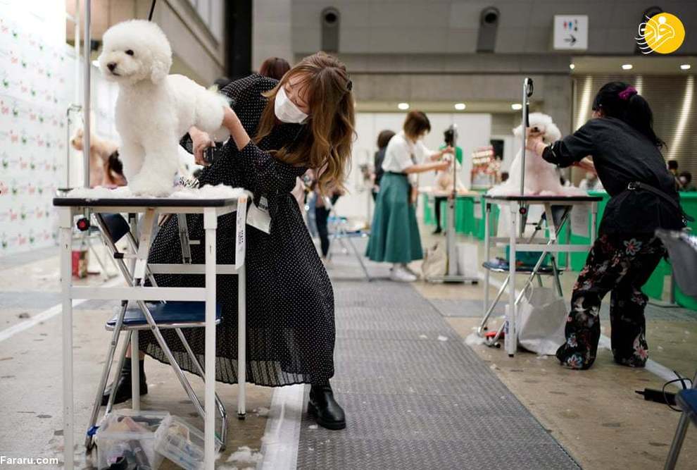 بزرگترین نمایشگاه حیوانات خانگی در ژاپن + تصاویر