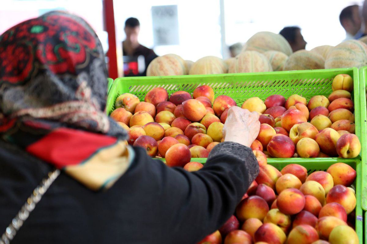 افزایش قیمت میوه