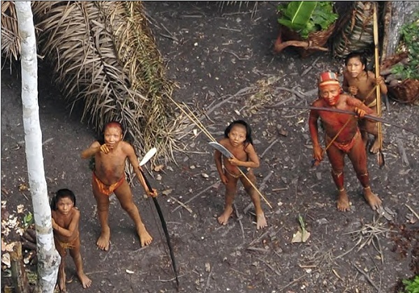 قبیله کایا