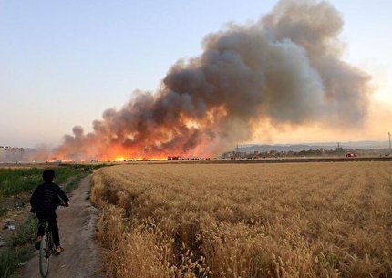 آتش جنگ روی سبد نان اروپا؛ پیش بینی افزایش ۳۰ درصدی قیمت جهانی گندم در نبرد شمالی