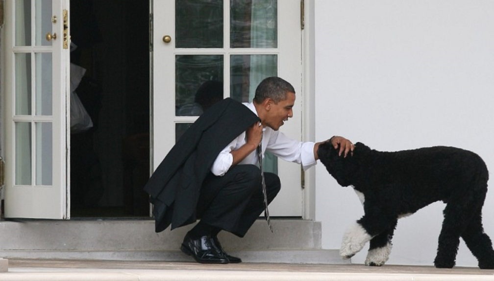 سگ باراک اوباما