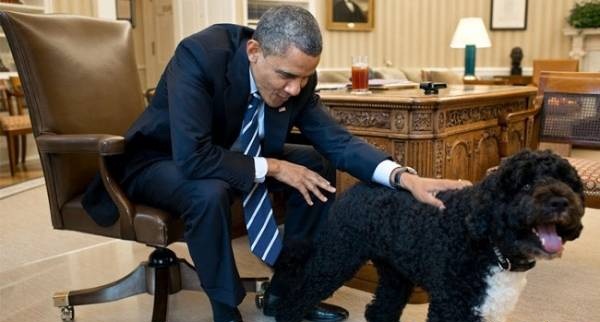 سگ باراک اوباما