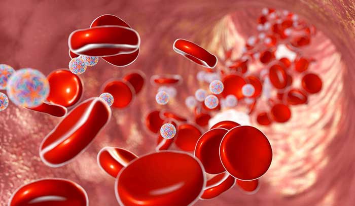 روش های طبیعی موثر برای درمان عفونت خون