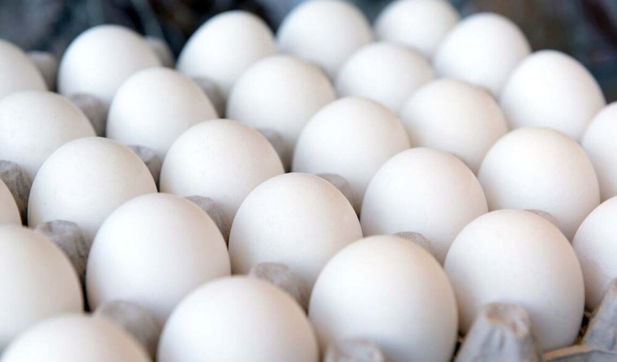وعده کاهش قیمت تخم مرغ تا دو هفته آینده