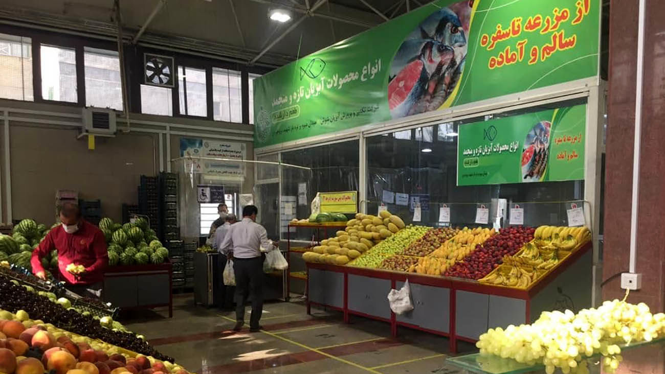 افزایش قیمت میوه