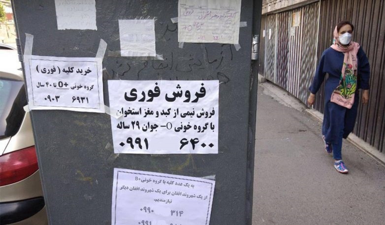 قیمت کلیه در ایران
