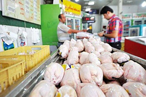 عرضه مرغ‌های ریز و کم وزن به بازار/ کشتار مرغ‌های کم سن برای تنظیم بازار