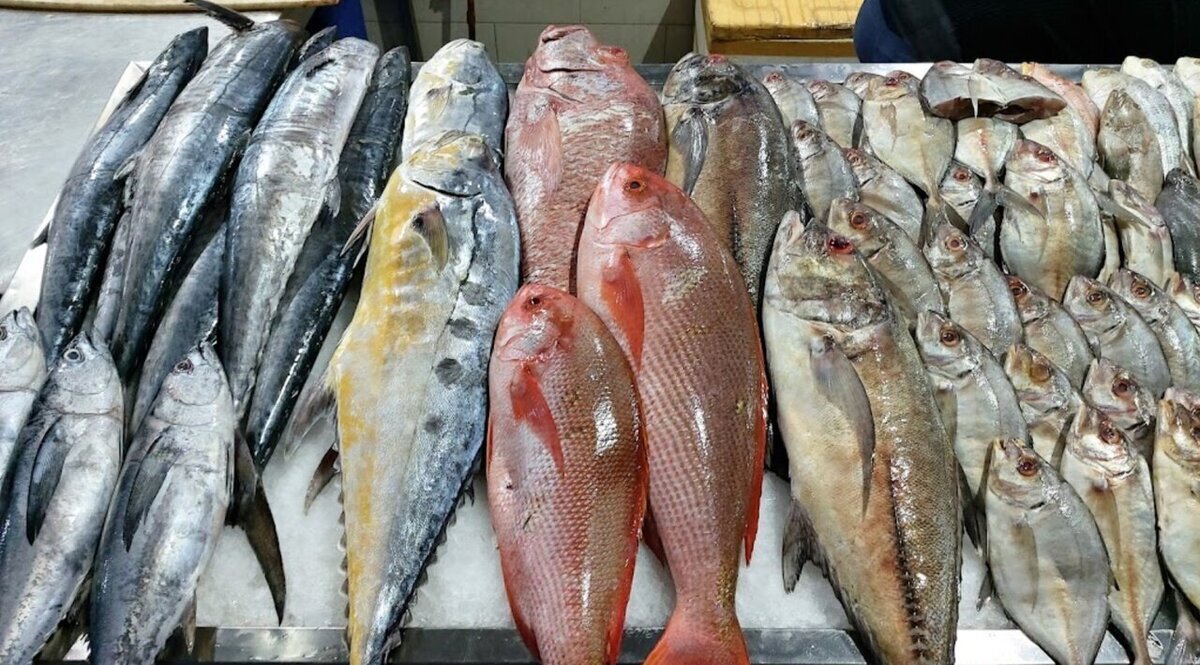 قیمت انواع ماهی شب عید چند؟