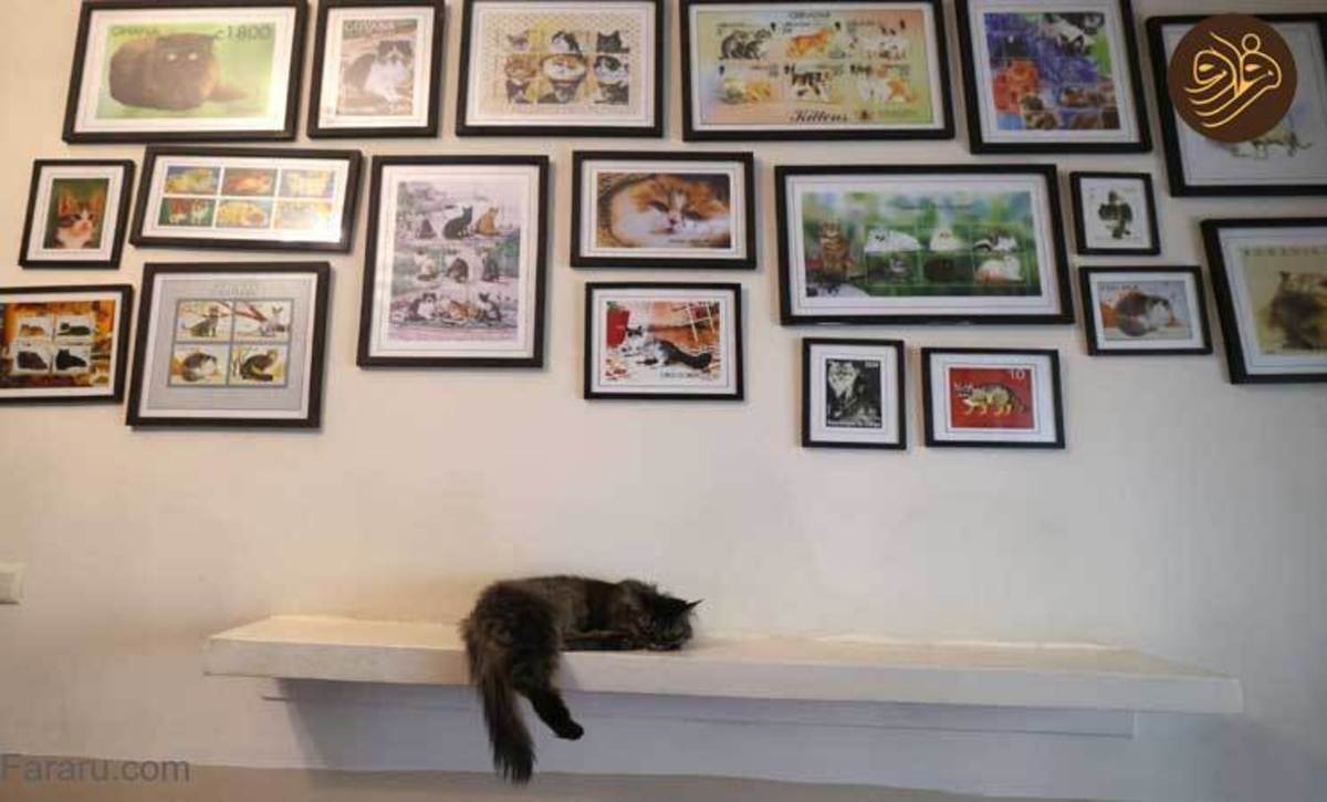 موزه گربه‌ها در تهران