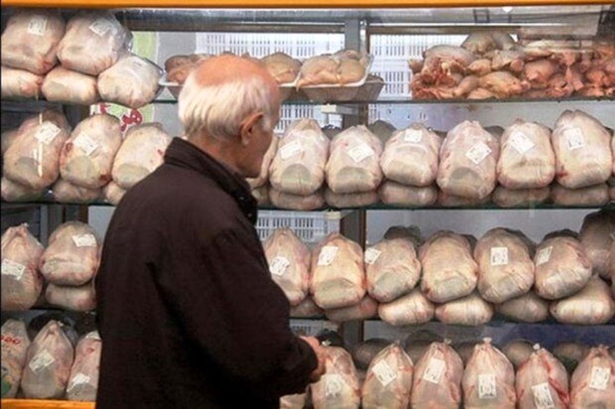 کوبیدن دولت بر طبل توخالی کنترل قیمت مرغ/ برای خرید یک مرغ ۳۰۰ هزار تومان کنار بگذارید!