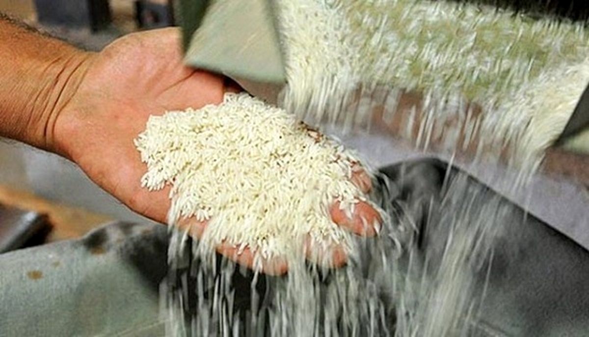 تازه‌ترین قیمت برنج پاکستانی در بازار