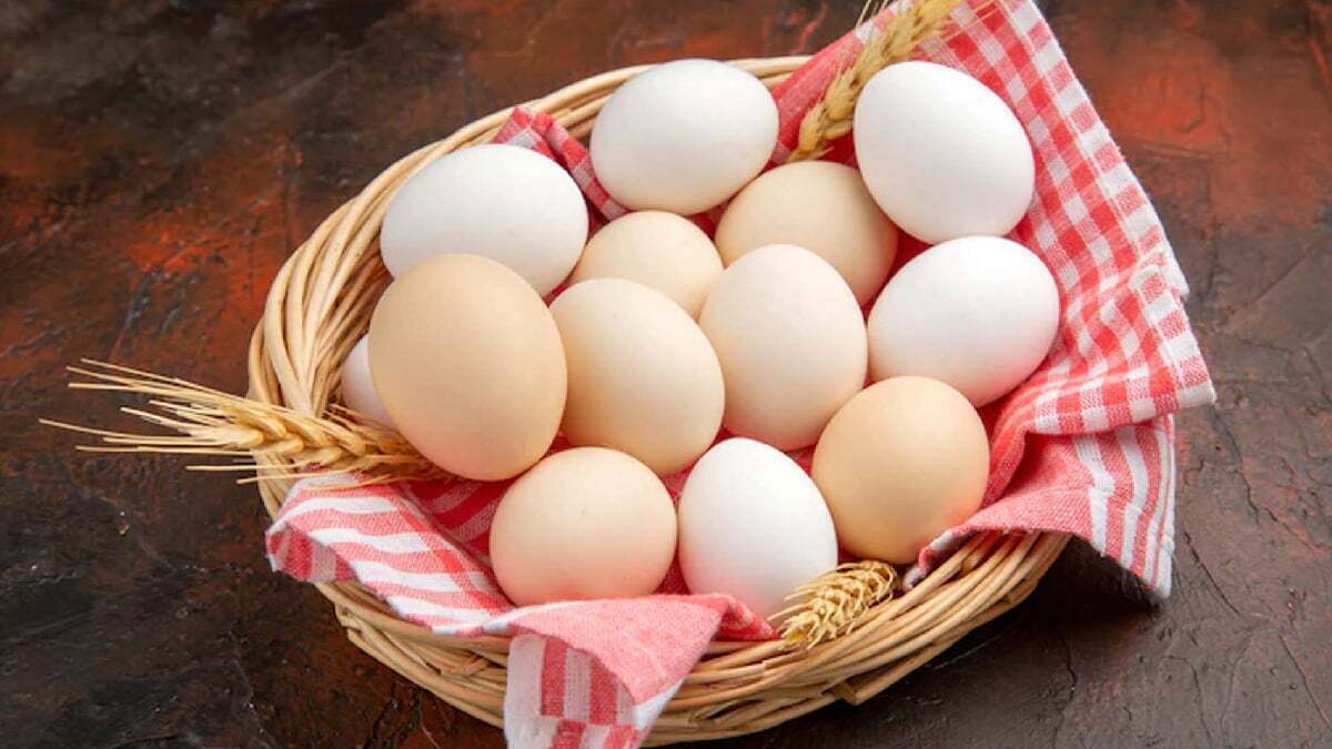 قیمت جدید انواع تخم‌مرغ در بازار