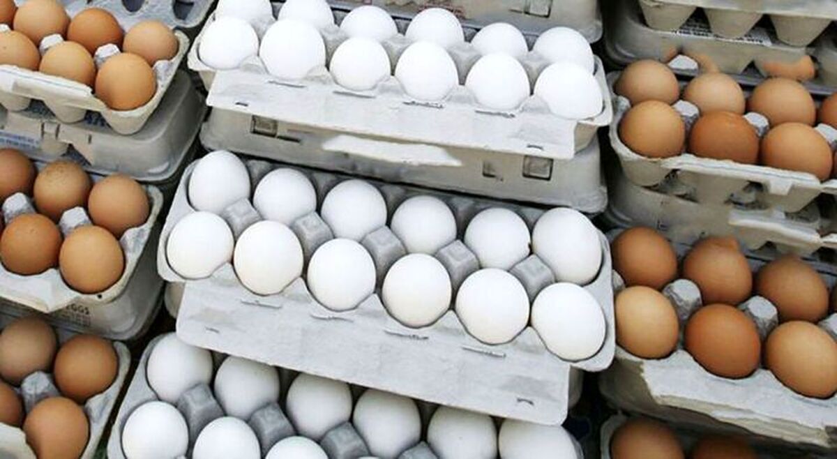قیمت تخم مرغ امروز ۶ فروردین ۱۴۰۳ + جدول