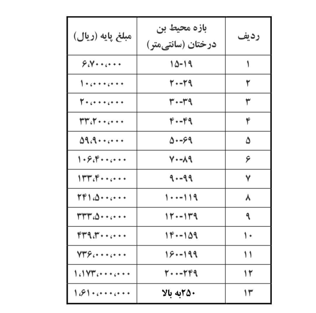 قطع درختان