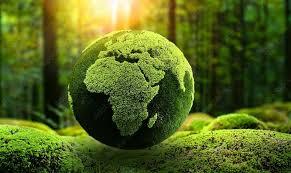 استارتاپهای انرژیهای پاک استارتاپهای انرژیهای پاک