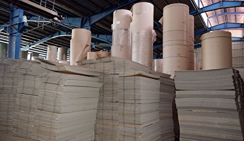 هزینه محدود کردن واردات کاغذ و مقوا را مردم می‌پردازند / خودکفایی کاغذ و مقوا معنا ندارد