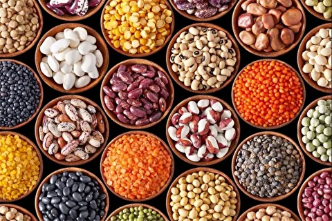 مشکلی برای تأمین حبوبات ماه رمضان وجود ندارد/قیمت لوبیا چیتی کیلویی ۴۵۰ هزارتومان