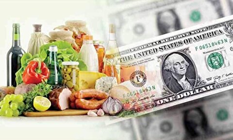 حذف ارز ترجیحی تقاضای کاذب برای واردات را از بین برد / اعطای سبد مشخصی از کالا به مردم مدل بهینه‌تری است