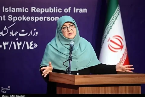 مهاجرانی: کالاهای اساسی، دارو و بنزین تامین است