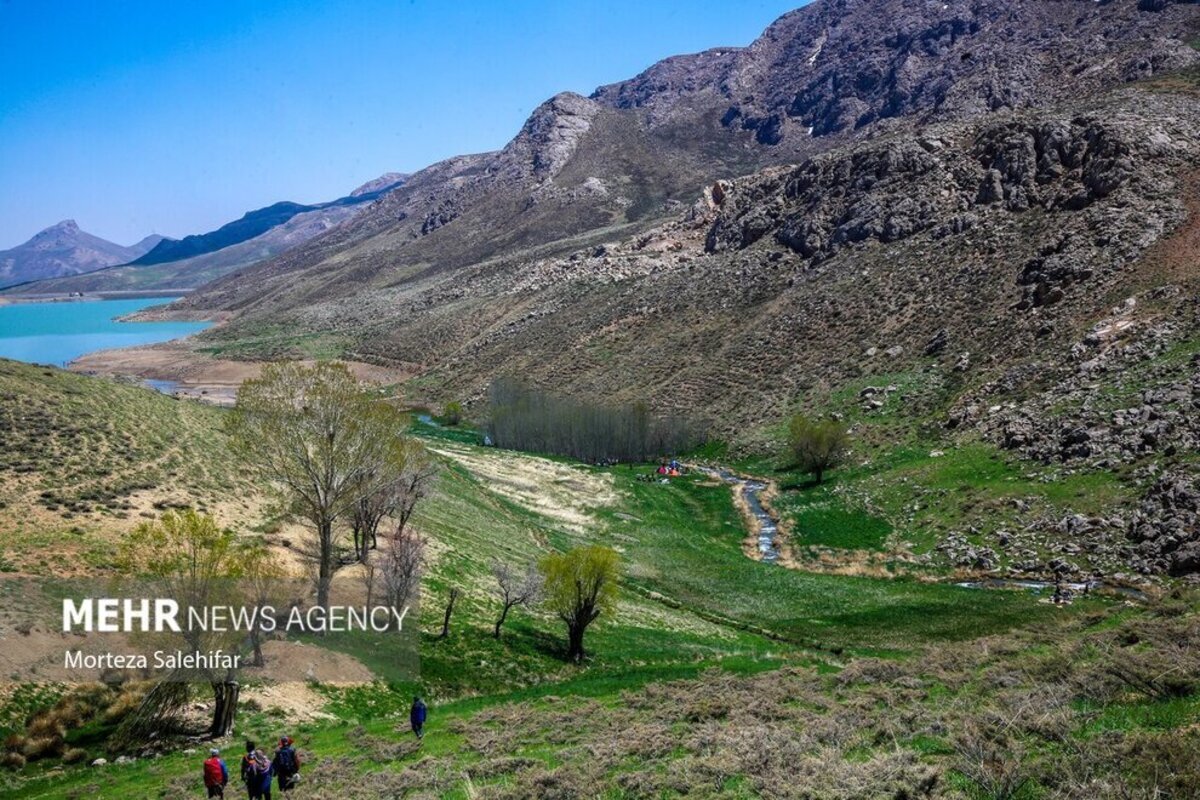 طبیعت بهاری بیدکان در چهارمحال و بختیاری
