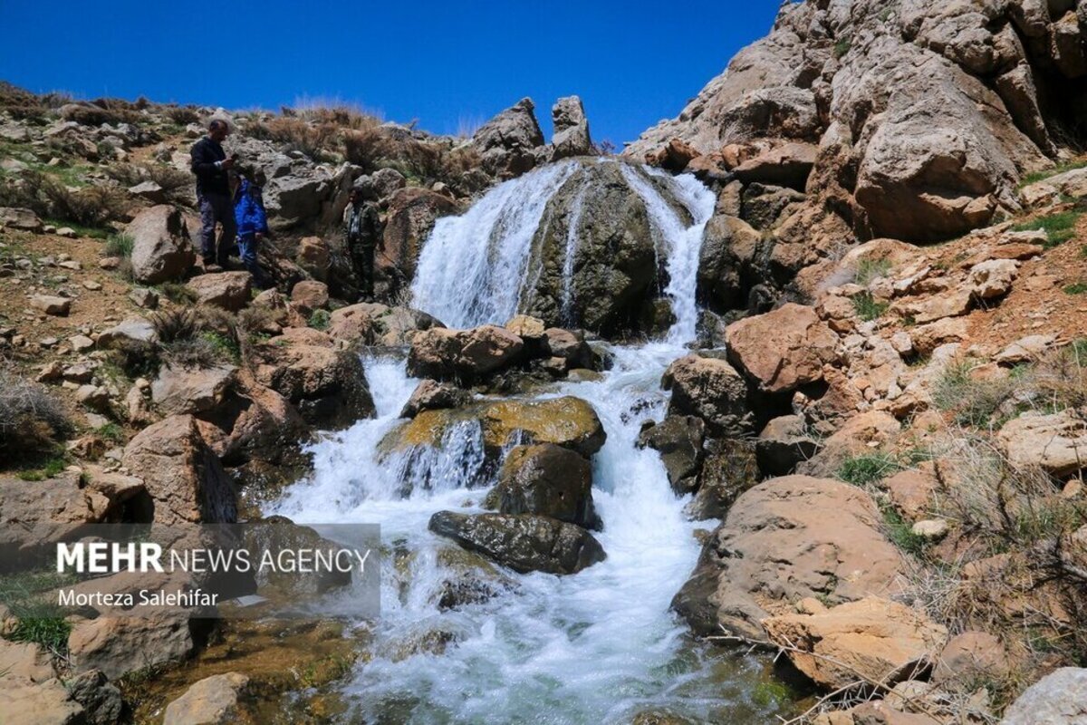 طبیعت بهاری بیدکان در چهارمحال و بختیاری