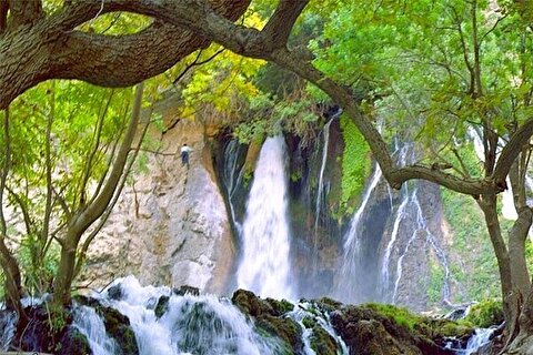 طبیعت بهاری بیدکان در چهارمحال و بختیاری