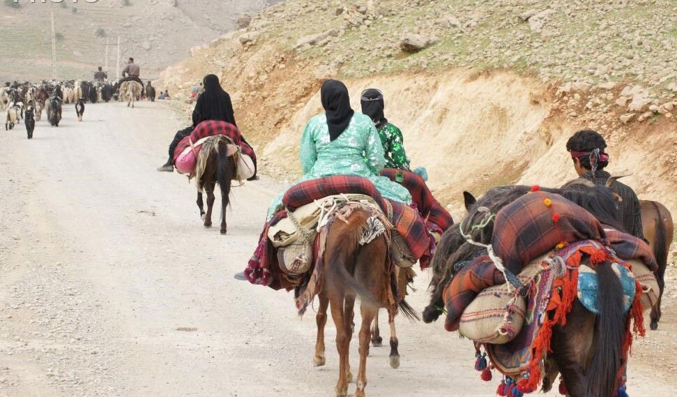 شور و نشاط عشایر در کوچ بهاره