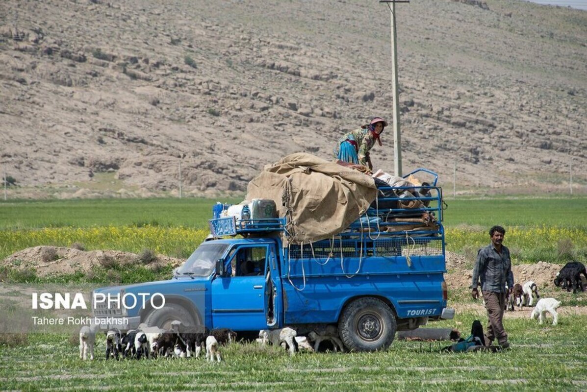 شور و نشاط عشایر در کوچ بهاره