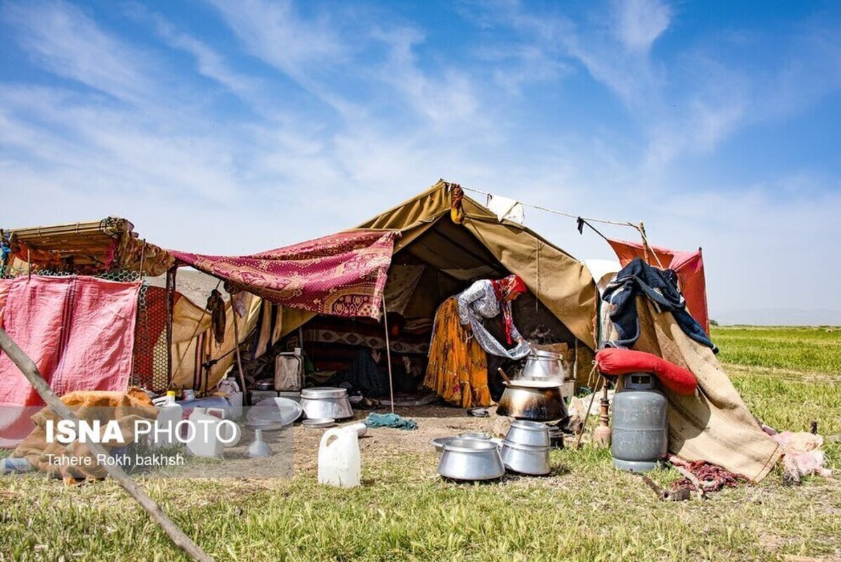 شور و نشاط عشایر در کوچ بهاره