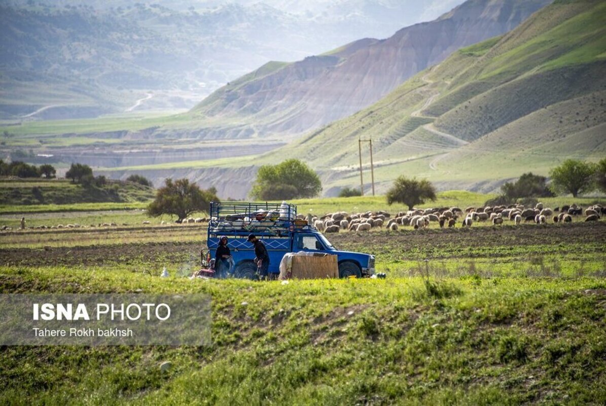 شور و نشاط عشایر در کوچ بهاره