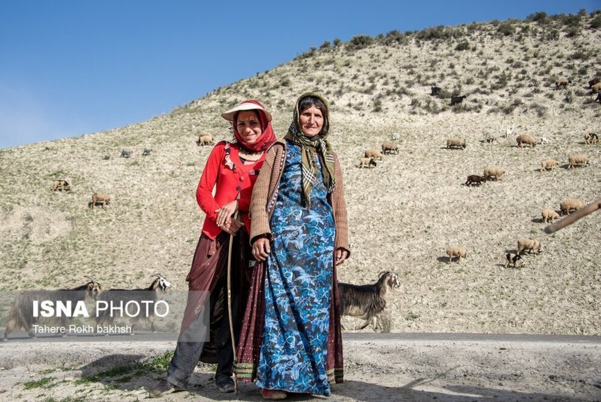 شور و نشاط عشایر در کوچ بهاره