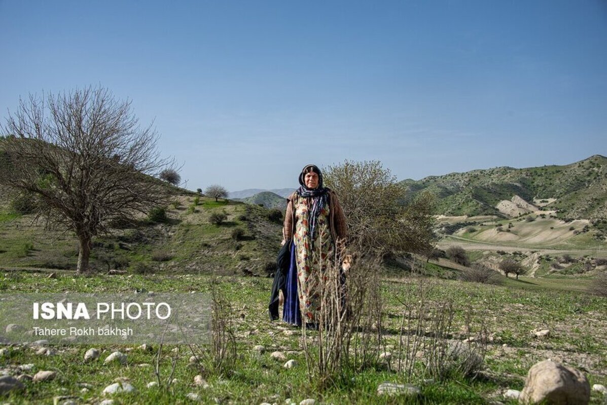 شور و نشاط عشایر در کوچ بهاره