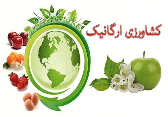محصولات ارگانیک