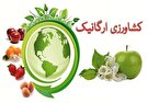 محصولات ارگانیک / از چالش گرانی تا فرصت‌های صادراتی در بازار جهانی