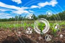 کشاورزی دانش‌بنیان، ضرورتی انکارناپذیر برای توسعه پایدار