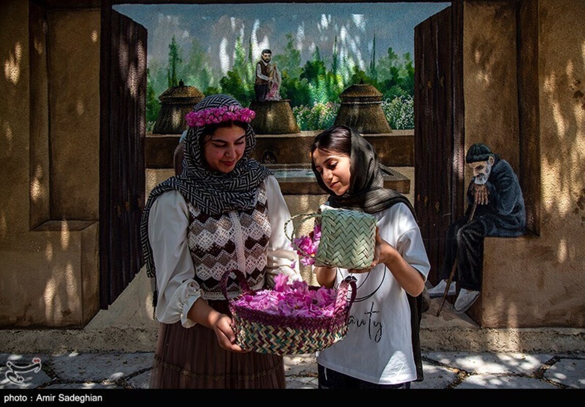 گل محمدی