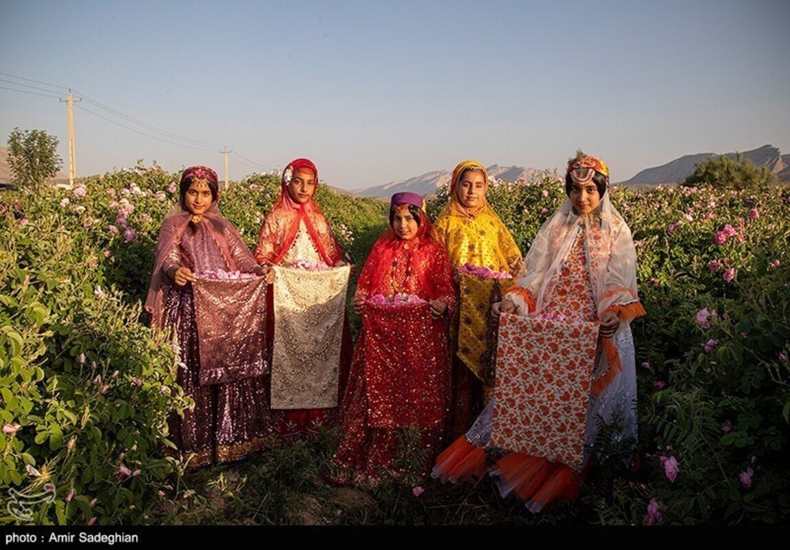 گل محمدی