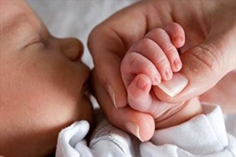 کاهش چشمگیر نرخ تولد طی ۳۰ سال اخیر