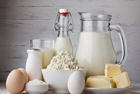 مصرف سرانه لبنیات یک‌چهارم میانگین جهانی/ نیازمند سیاست‌های حمایتی هستیم