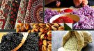 شناسایی بازار‌های صادراتی جدید برای تعاونی‌ها