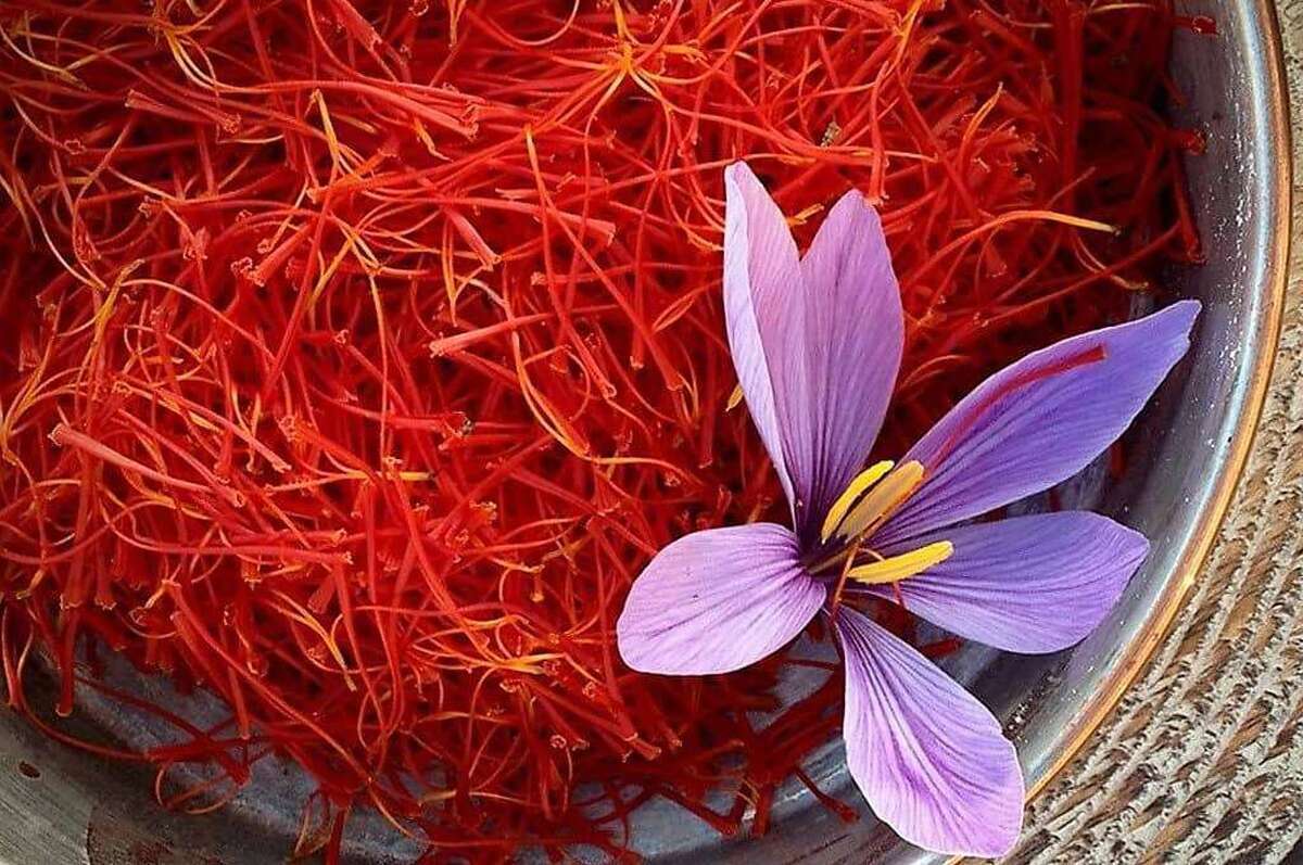 زعفران پوشال