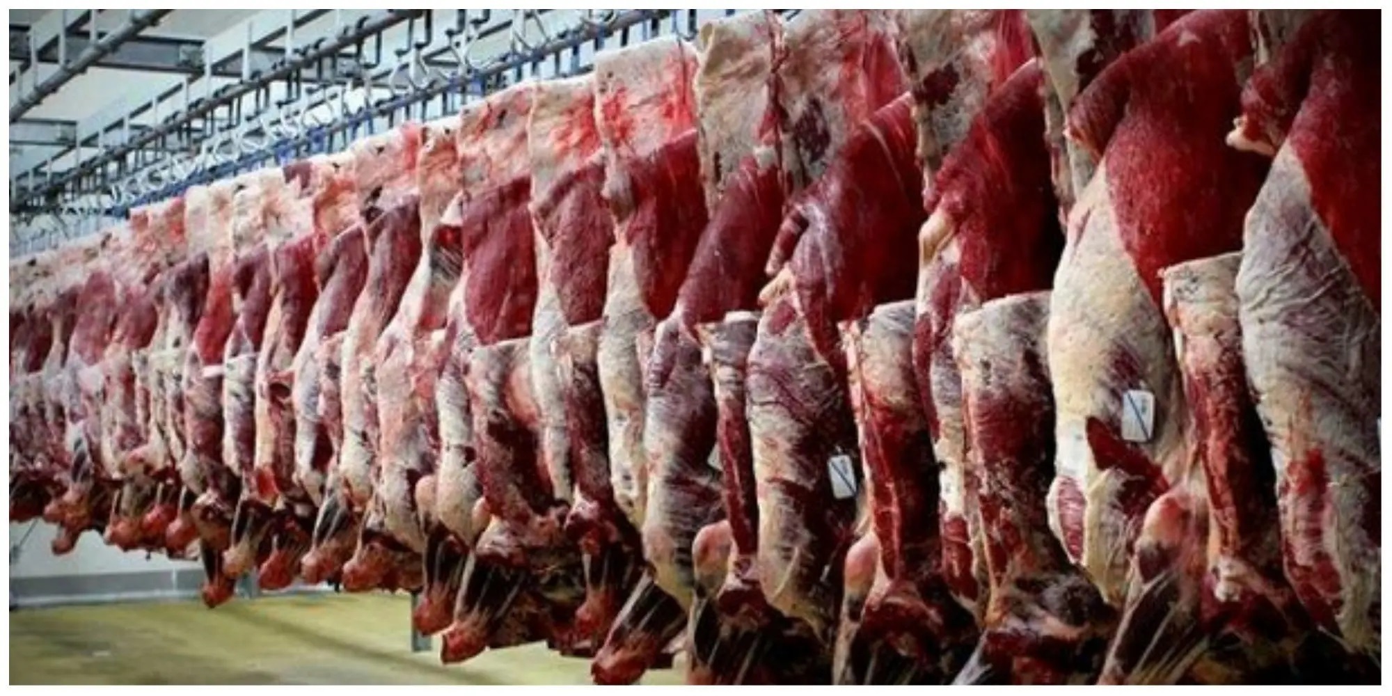 گوشت قرمز تنظیم بازار
