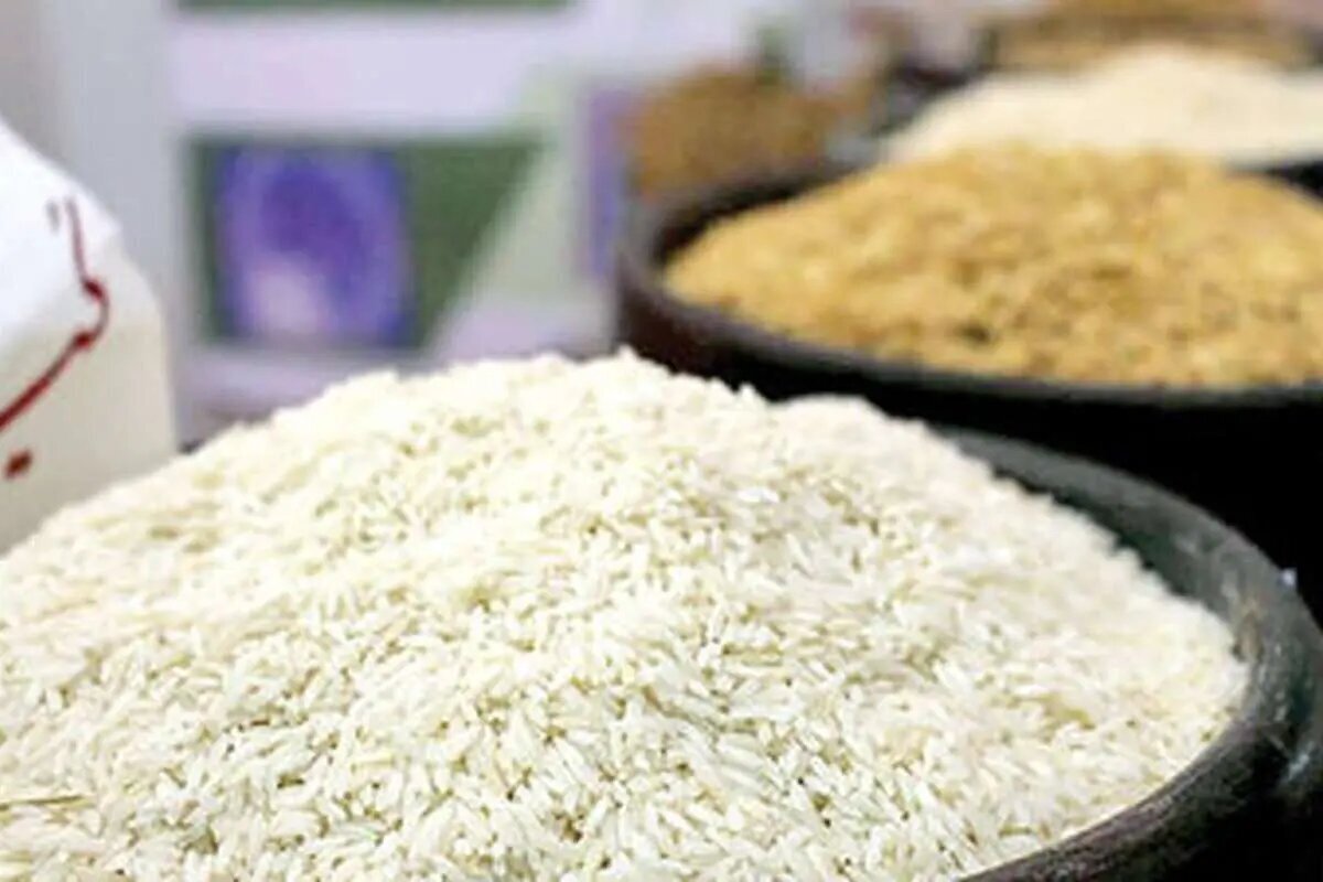 مقصر گرانی برنج