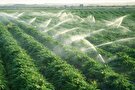 بحران آب با اجبار حل نمی‌شود / کشاورز باید متقاعد شود