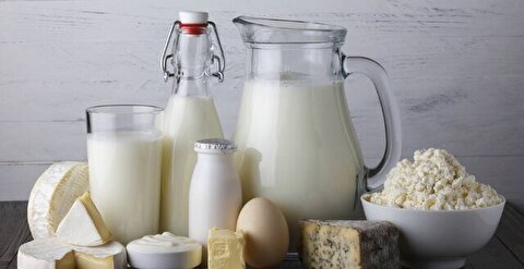 آمادگی صنعت لبنیات برای مقابله با چالش‌های احتمالی/ افزایش قیمتی در جنگ ۱۲ روزه نداشتیم