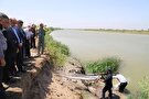 رهاسازی ماهی نادر «شیپ» در گیلان